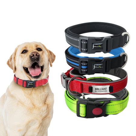 卸売りネオプレンパッド付き犬用カラー - 卸売り反射パッド付き犬用カラー